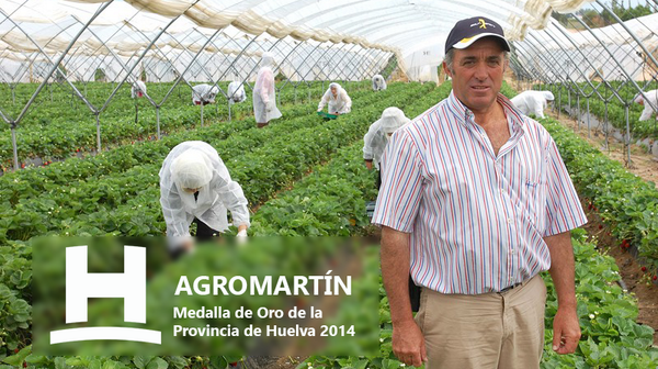 Agro Martín galardonada con la Medalla de Oro de la provincia 2014