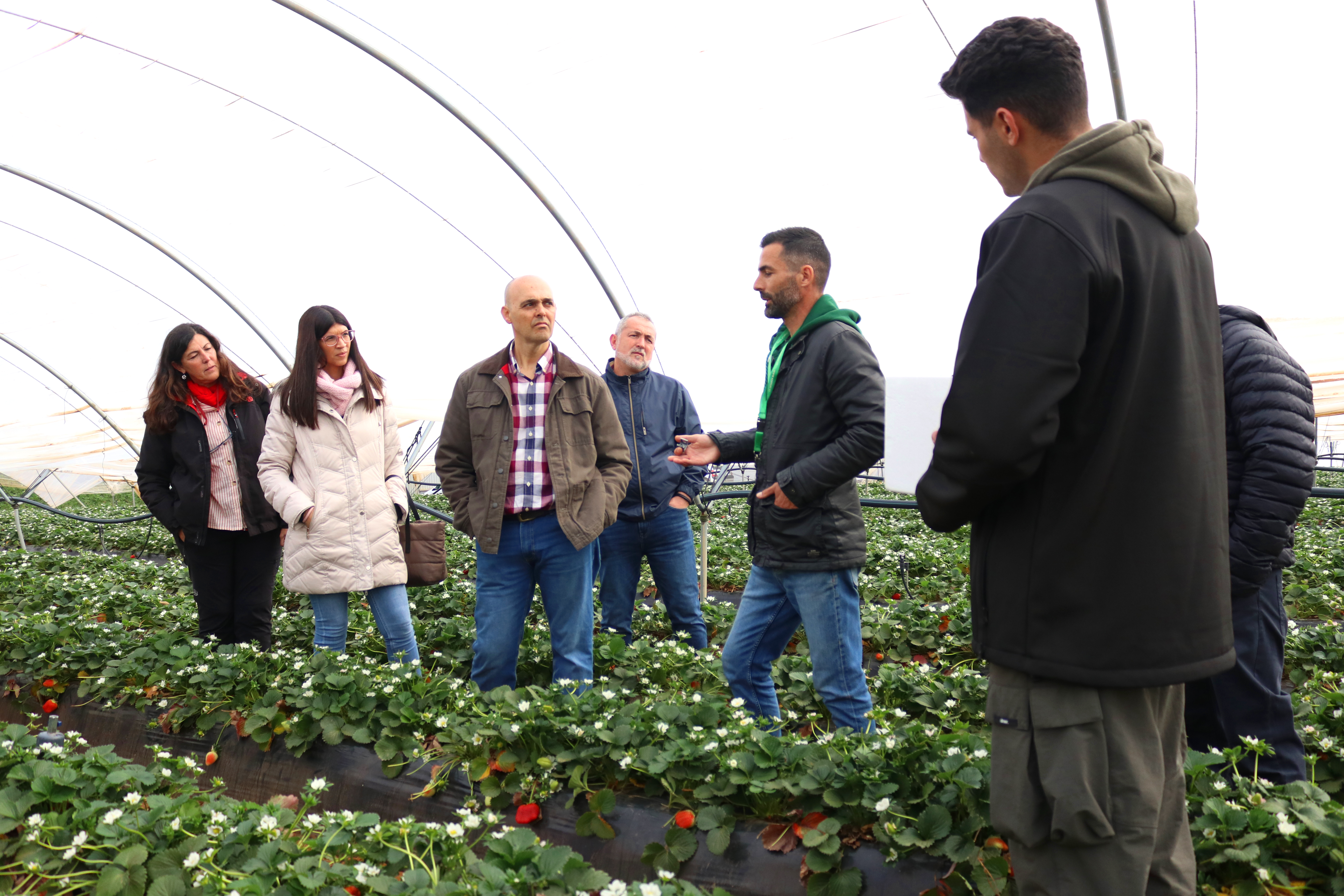Recibimos la visita de los directores y responsables de frutas y APC de los supermercados Alcampo de Sevilla, Jerez y Sanlúcar.
