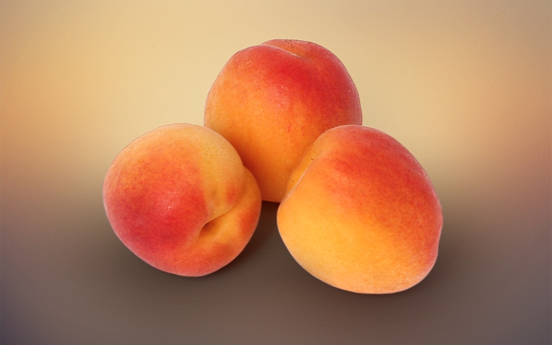 Apricot