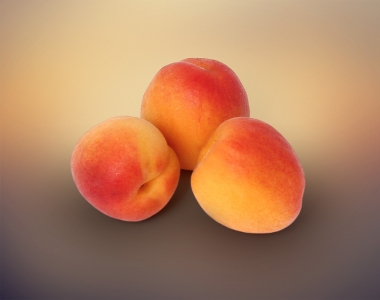 Apricot