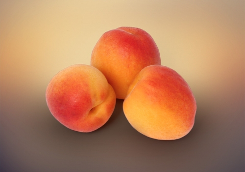 Apricot