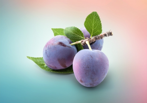 Plum