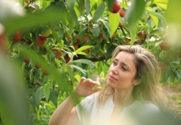 Iniciamos la campaña de fruta de hueso con las primeras nectarinas