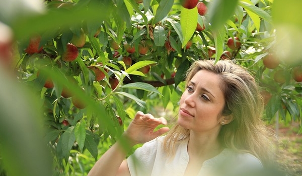 Iniciamos la campaña de fruta de hueso con las primeras nectarinas