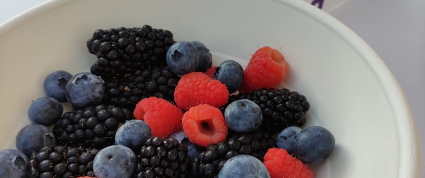 Proveedores oficiales de fruta del Congreso de Frutos Rojos