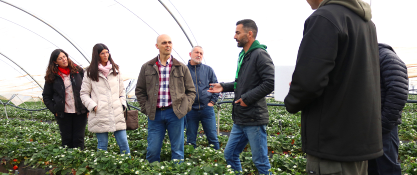 Recibimos la visita de los directores y responsables de frutas y APC de los supermercados Alcampo de Sevilla, Jerez y Sanlúcar.