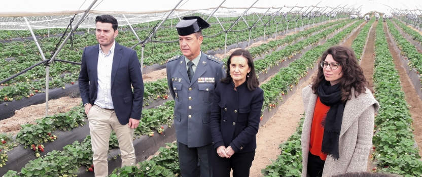 PRESENTACIÓN DEL DISPOSITIVO DE SEGURIDAD PARA LA CAMPAÑA AGRICOLA